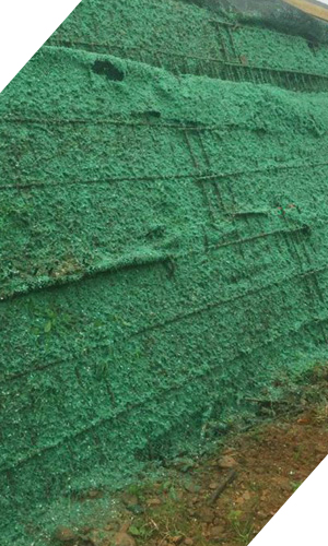 Stabilization of banks and slopes with Seed on Earth Wellington