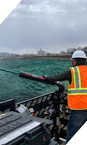Beautful; hardwaring grass areas for parks and reserves from Seed on Earth Wellington