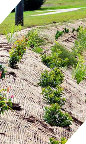 Grass landscaping and beautification of new housieng developments and subdivisions from Seed on Earth Wellington